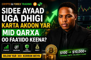 Sidee Ayaad Uga Dhigi Karta Akoon Yar Mid Qarxa Oo Faa’iido Keena?