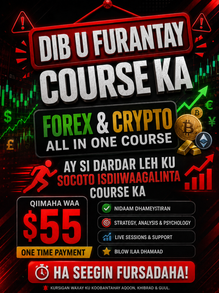 FOREX & CRYPTO ALL IN ONE MENTORSHIP COURSE